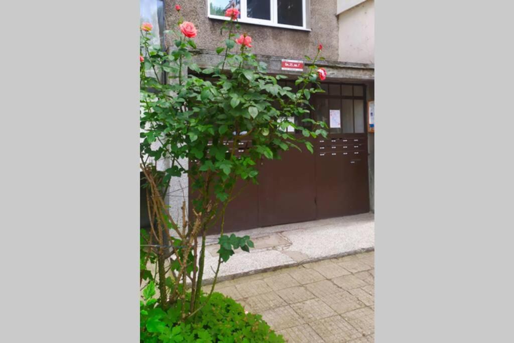 Lovely City Center 1Bd, 1Bt Apartment Sofia Exteriör bild